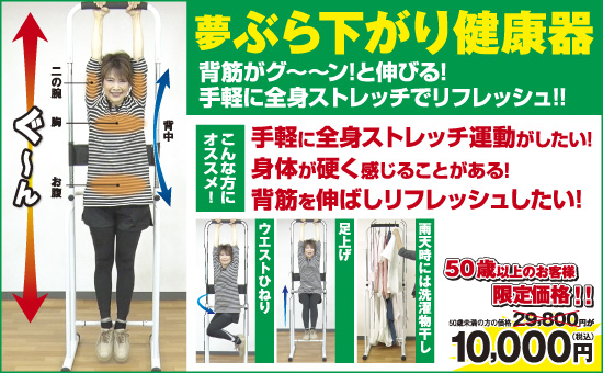 夢 ぶら下がり健康器