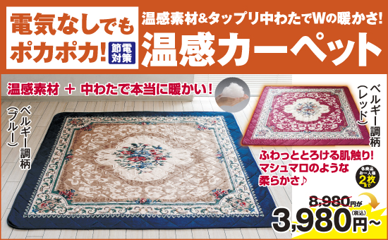 NEW温感カーペット