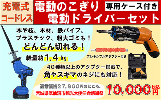 充電式コードレス電動のこぎり(電動ドライバー付き)