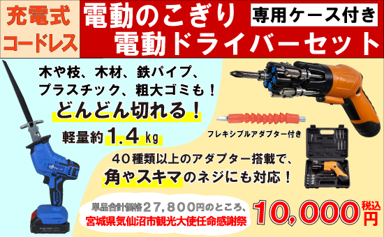 充電式コードレス電動のこぎり(電動ドライバー付き)