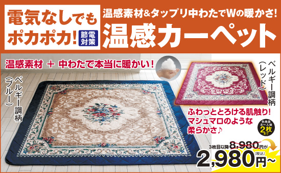 NEW温感カーペット