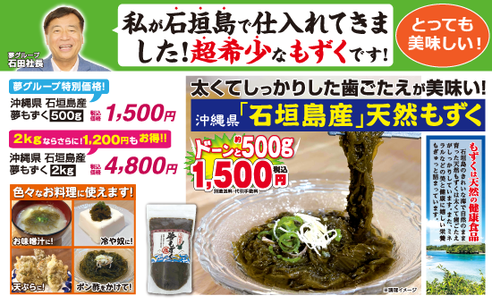 沖縄県 石垣島産 夢もずく